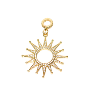 Le Roi Soleil