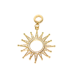 Le Roi Soleil